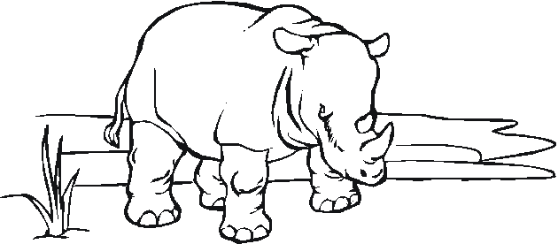 Dibujo para colorear: Zoo (Animales) #12855 - Dibujos para Colorear e Imprimir Gratis