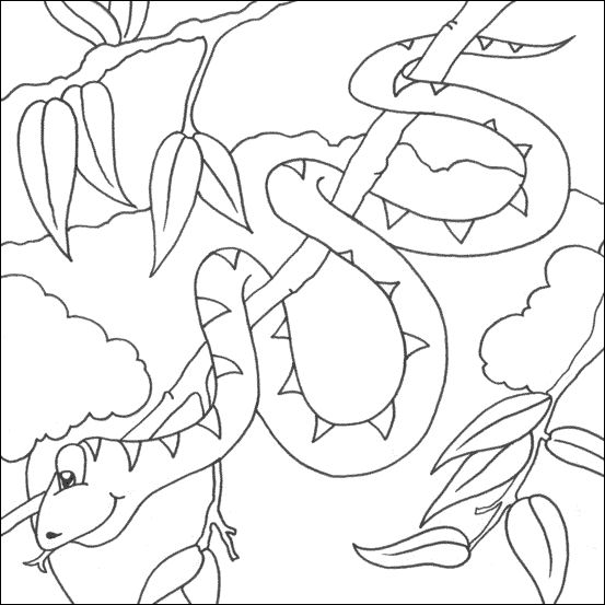 Dibujo para colorear: Zoo (Animales) #12864 - Dibujos para Colorear e Imprimir Gratis