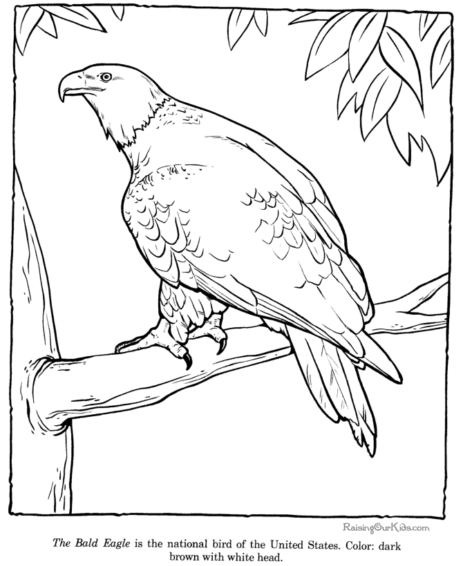 Dibujo para colorear: Zoo (Animales) #12867 - Dibujos para Colorear e Imprimir Gratis