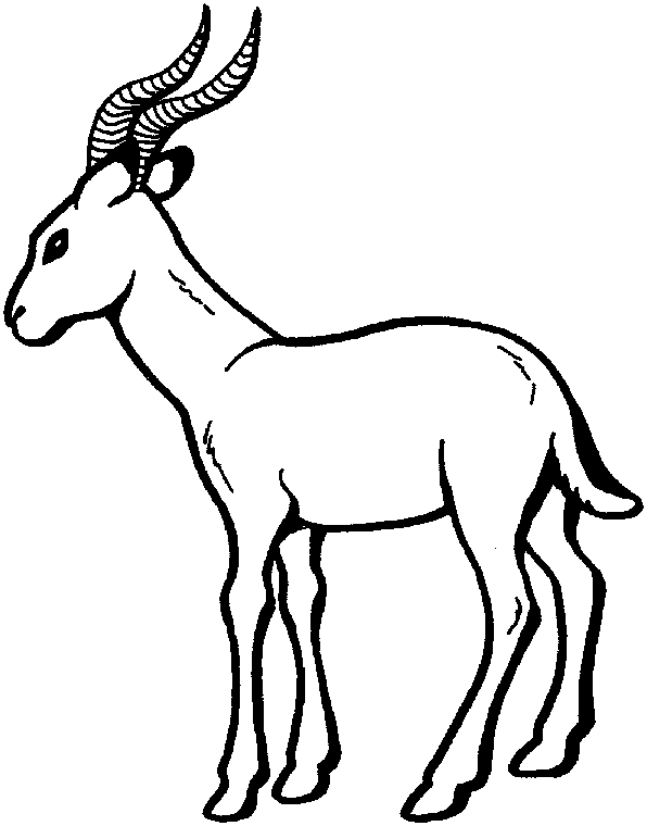 Dibujo para colorear: Zoo (Animales) #12880 - Dibujos para Colorear e Imprimir Gratis