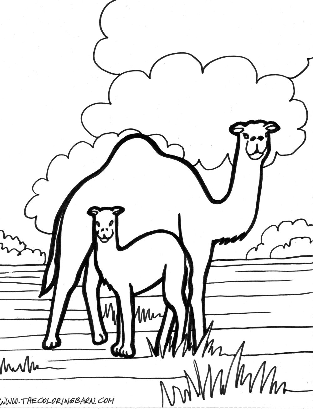 Dibujo para colorear: Zoo (Animales) #12885 - Dibujos para Colorear e Imprimir Gratis