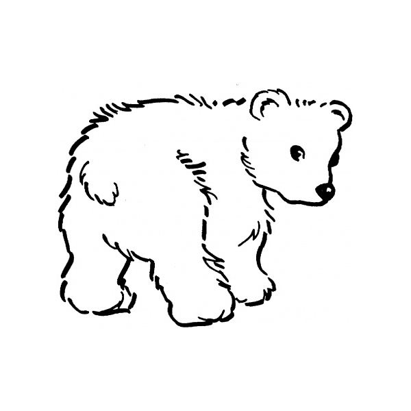 Dibujo para colorear: Zoo (Animales) #12889 - Dibujos para Colorear e Imprimir Gratis