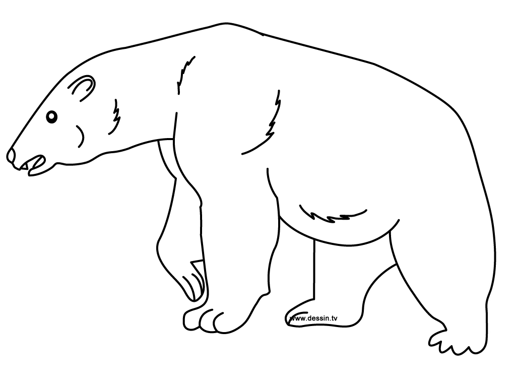 Dibujo para colorear: Zoo (Animales) #12908 - Dibujos para Colorear e Imprimir Gratis