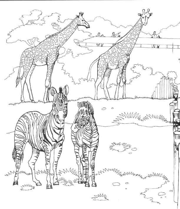 Dibujo gratuito Zoológico #12677 de la coleccion Animales para imprimir