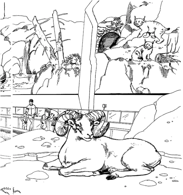 Dibujo gratuito Zoológico #12678 de la coleccion Animales para imprimir