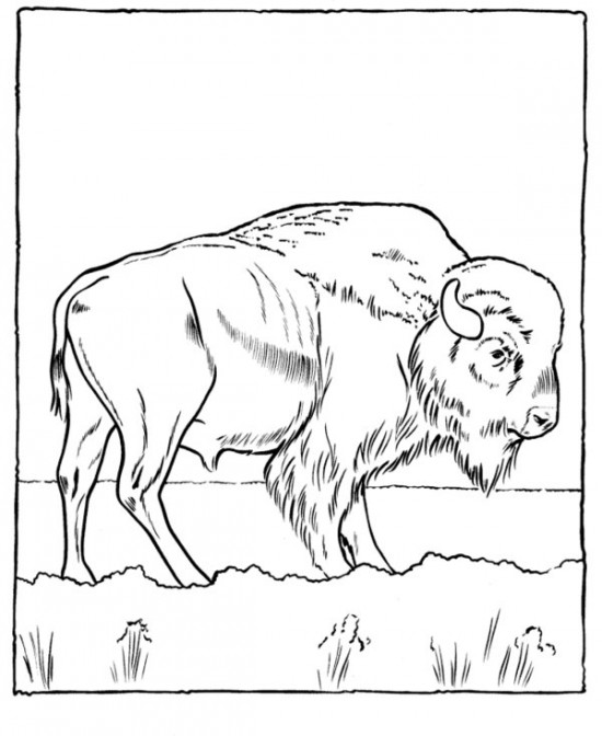 Dibujo gratuito Zoológico #12685 de la coleccion Animales para imprimir