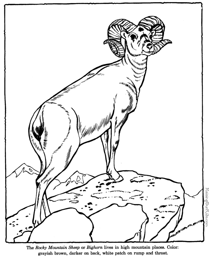 Dibujo gratuito Zoológico #12830 de la coleccion Animales para imprimir