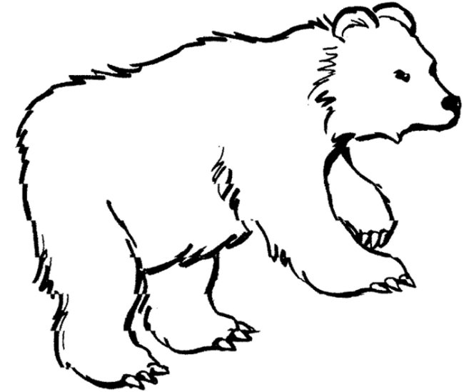 Dibujo para colorear: Zoológico (Animales) #12838 - Dibujos para Colorear e Imprimir Gratis