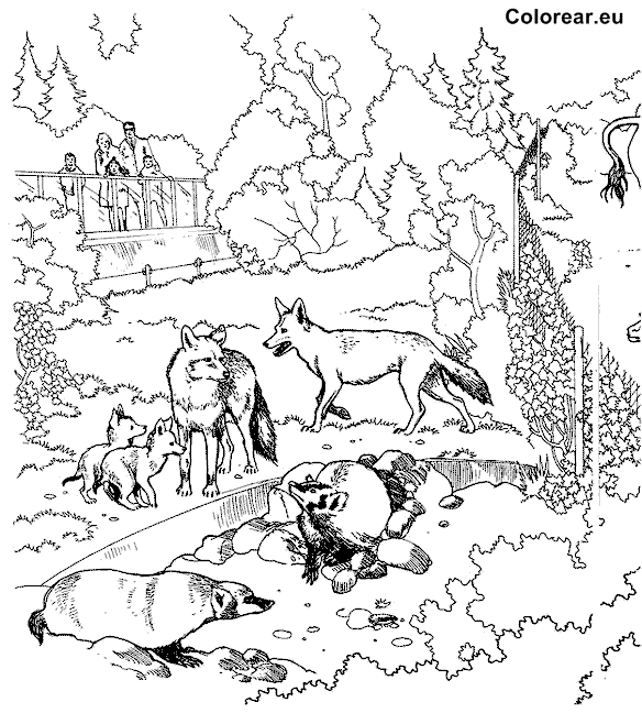 Dibujo para colorear: Zoológico (Animales) #12848 - Dibujos para Colorear e Imprimir Gratis