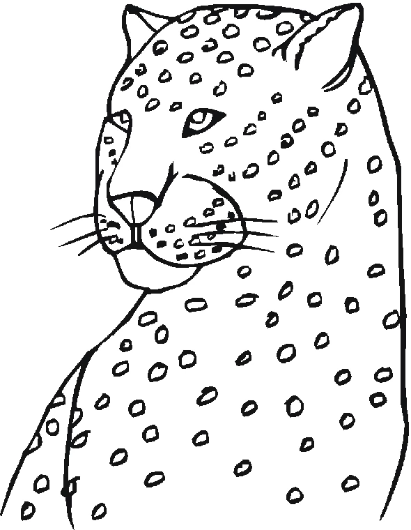 Dibujo gratuito Zoológico #12884 de la coleccion Animales para imprimir