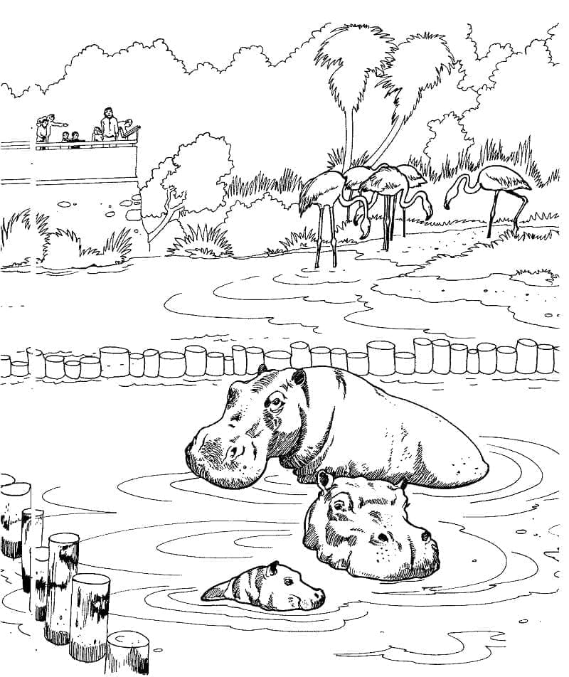 Dibujo gratuito Zoológico #201738 de la coleccion Animales para imprimir