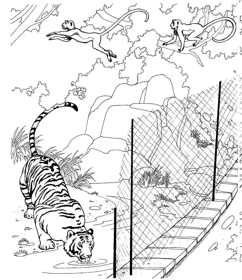 Dibujo gratuito Zoológico #201750 de la coleccion Animales para imprimir