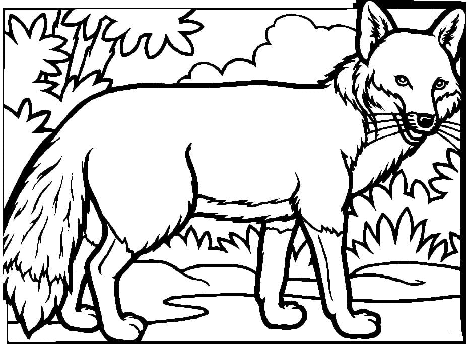 Dibujo gratuito Zorro #179488 de la coleccion Animales para imprimir