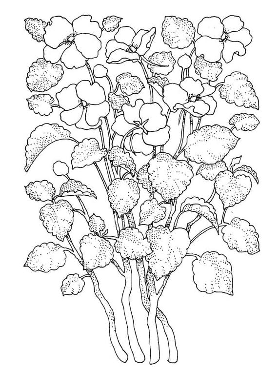 Dibujo gratuito Flor Adulto #215535 de la coleccion Colorear Adultos para imprimir