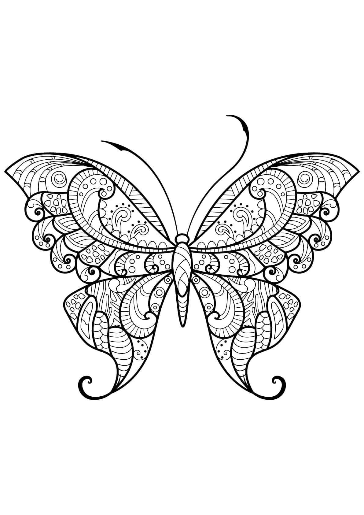 Dibujo gratuito Mariposa Adulta #174335 de la coleccion Colorear Adultos para imprimir
