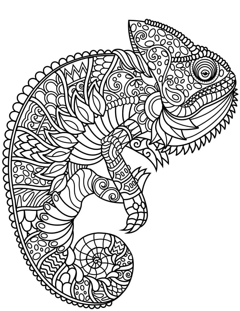 Dibujo gratuito Zentangle #217485 de la coleccion Colorear Adultos para imprimir