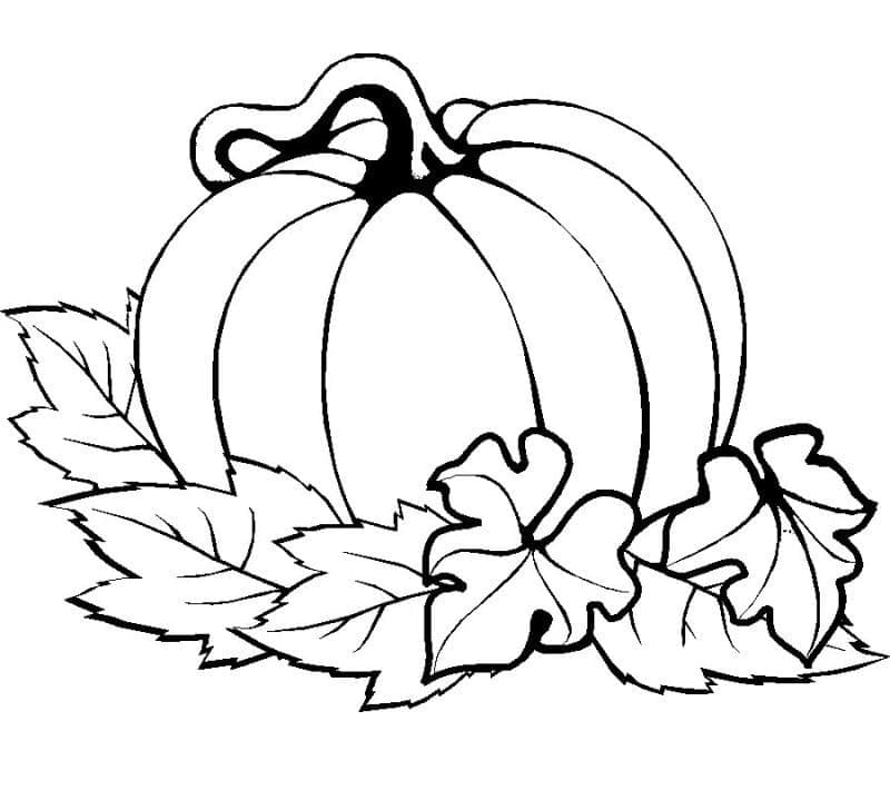 Dibujo gratuito Calabaza #212171 de la coleccion Comida y Nutrición para imprimir Dibujo gratuito Calabaza #212171 de la coleccion Comida y Nutrición para imprimir