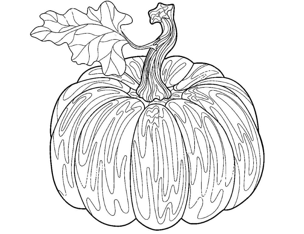 Dibujo gratuito Calabaza #212172 de la coleccion Comida y Nutrición para imprimir