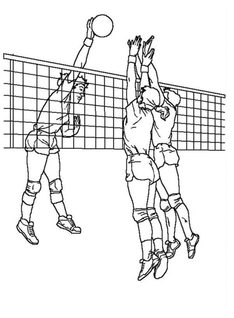 Dibujo gratuito Voleibol #176991 de la coleccion Deportes para imprimir Dibujo gratuito Voleibol #176991 de la coleccion Deportes para imprimir