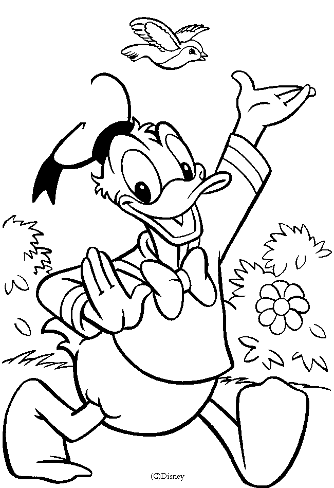 Dibujos de Donald Duck #30159 (Dibujos animados) para colorear – Páginas  imprimibles gratis