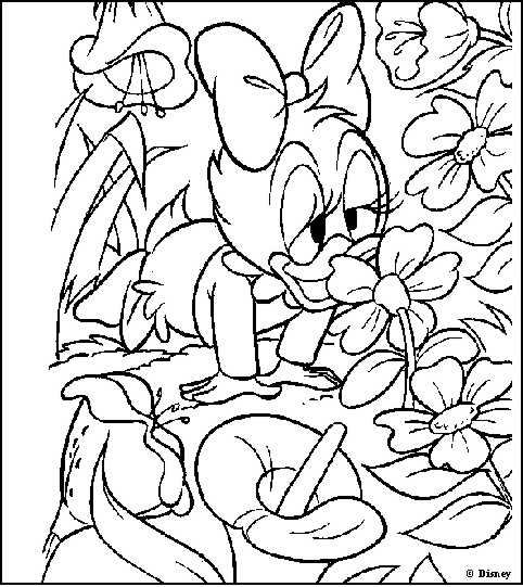 Dibujo para colorear: Donald Duck (Dibujos animados) #30182 - Dibujos para Colorear e Imprimir Gratis