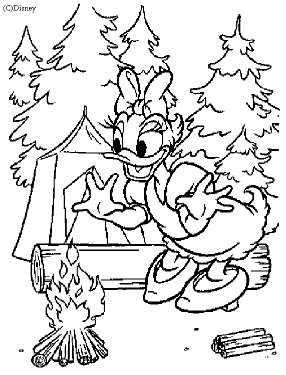 Dibujo para colorear: Donald Duck (Dibujos animados) #30192 - Dibujos para Colorear e Imprimir Gratis