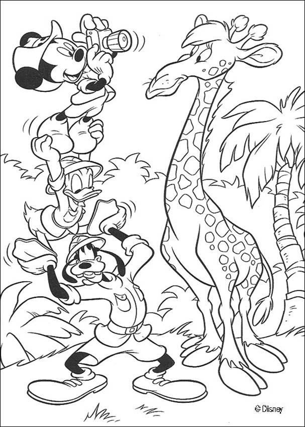 Dibujo para colorear: Donald Duck (Dibujos animados) #30384 - Dibujos para Colorear e Imprimir Gratis