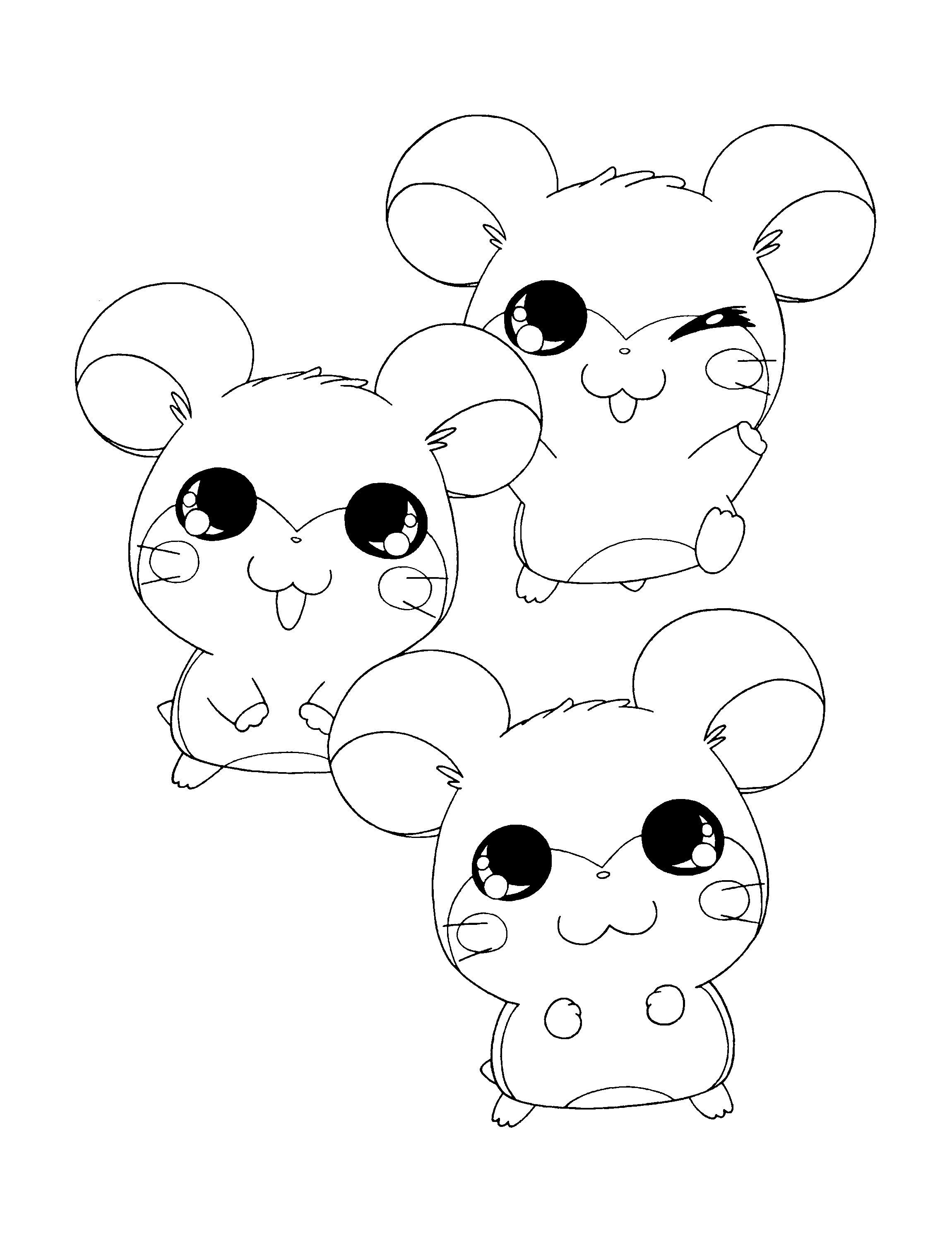 Dibujo para colorear: Hamtaro (Dibujos animados) #39939 - Dibujos para Colorear e Imprimir Gratis