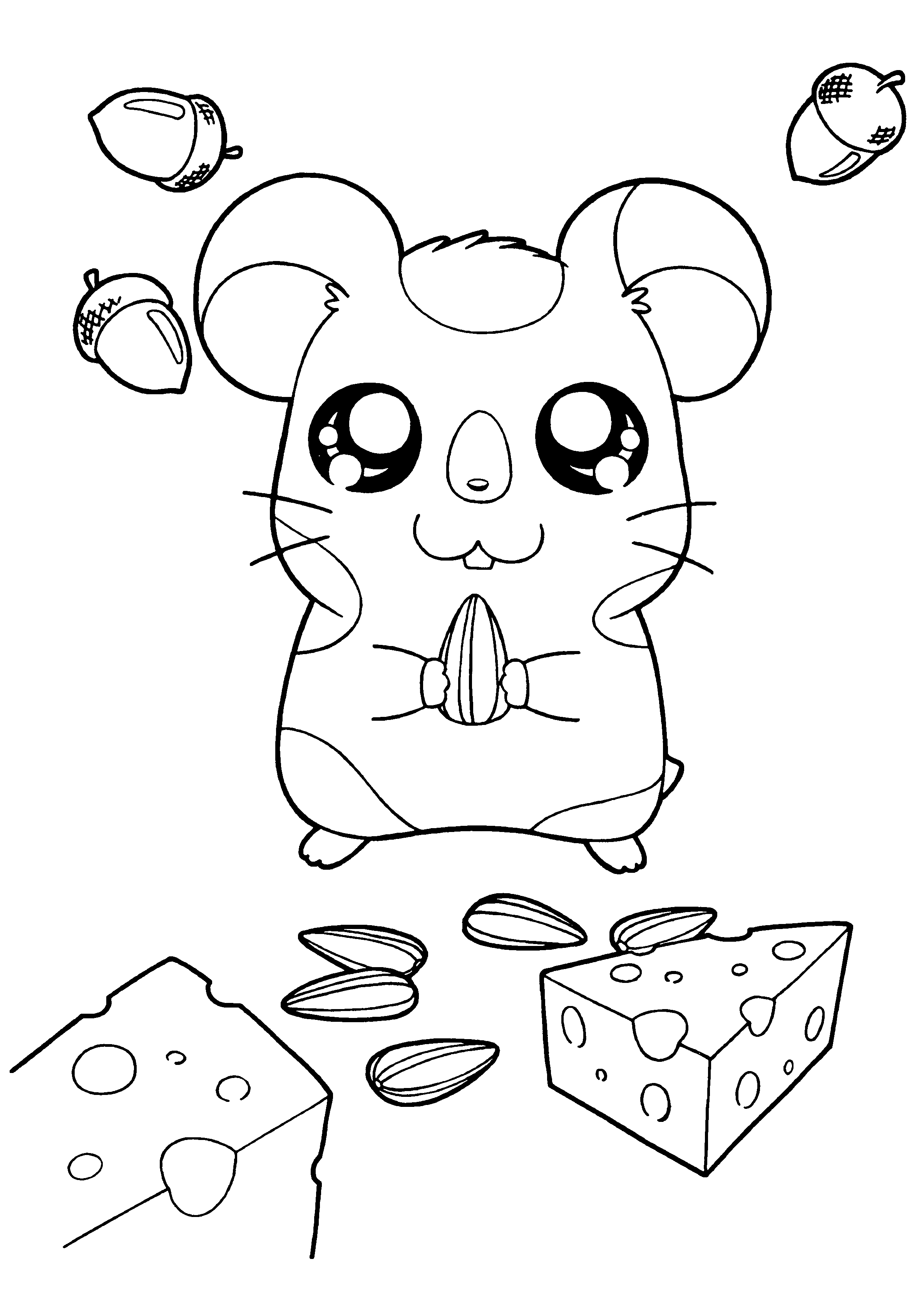 Dibujo para colorear: Hamtaro (Dibujos animados) #40048 - Dibujos para Colorear e Imprimir Gratis