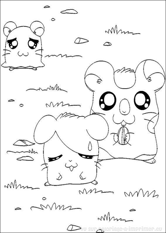 Dibujo para colorear: Hamtaro (Dibujos animados) #40188 - Dibujos para Colorear e Imprimir Gratis