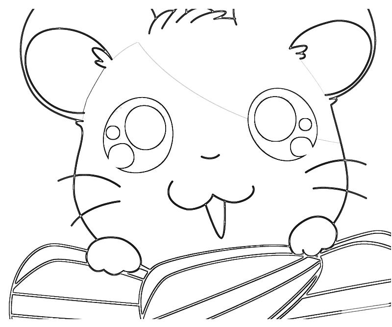 Dibujo para colorear: Hamtaro (Dibujos animados) #40193 - Dibujos para Colorear e Imprimir Gratis