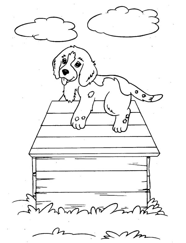 Dibujo para colorear: Caseta de Perro (Edificios y Arquitectura) #62424 - Dibujos para Colorear e Imprimir Gratis