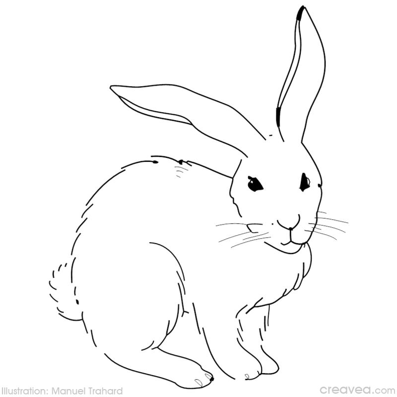 Dibujo para colorear: Pascua (Fiestas y ocasiones especiales) #54719 - Dibujos para Colorear e Imprimir Gratis