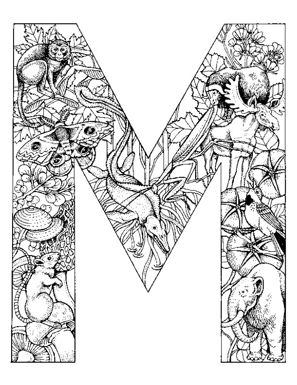 Dibujo gratuito Alfabeto #124604 de la coleccion Letras y Alfabeto para imprimir Dibujo gratuito Alfabeto #124604 de la coleccion Letras y Alfabeto para imprimir