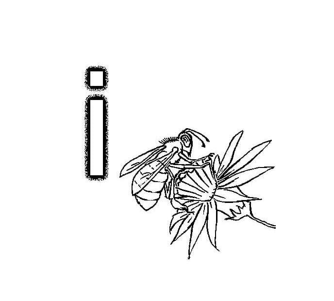 Dibujo gratuito Alfabeto #192028 de la coleccion Letras y Alfabeto para imprimir