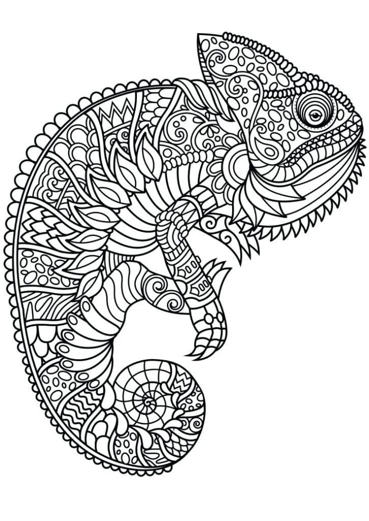 Dibujo gratuito Mandalas de Animales #174752 de la coleccion Mandalas para imprimir Dibujo gratuito Mandalas de Animales #174752 de la coleccion Mandalas para imprimir