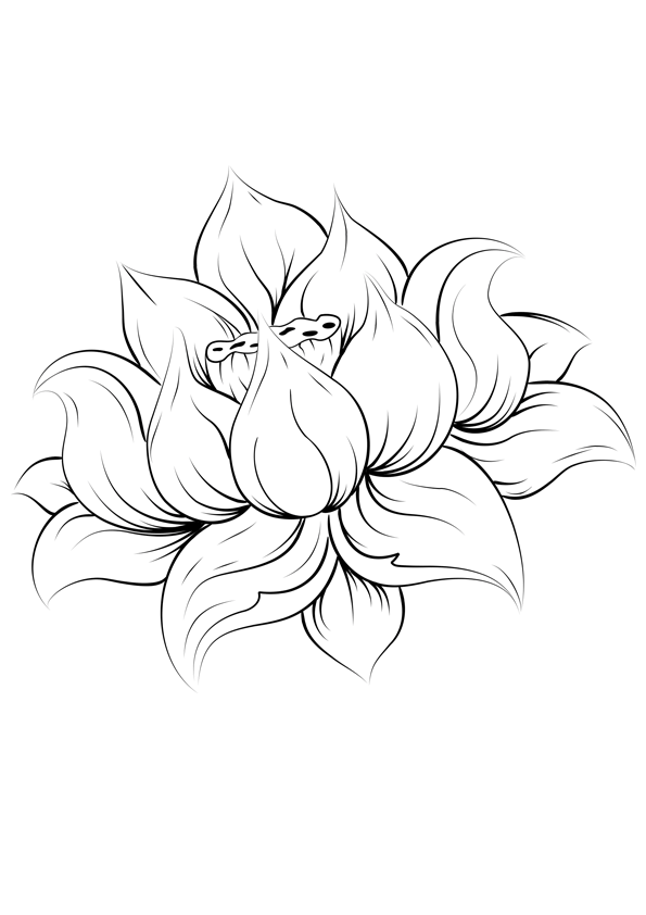 Dibujo gratuito Mandalas de Flores #117153 de la coleccion Mandalas para imprimir Dibujo gratuito Mandalas de Flores #117153 de la coleccion Mandalas para imprimir