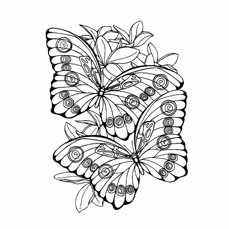 Dibujo para colorear: Mandalas de Mariposas (Mandalas) #117423 - Dibujos para Colorear e Imprimir Gratis