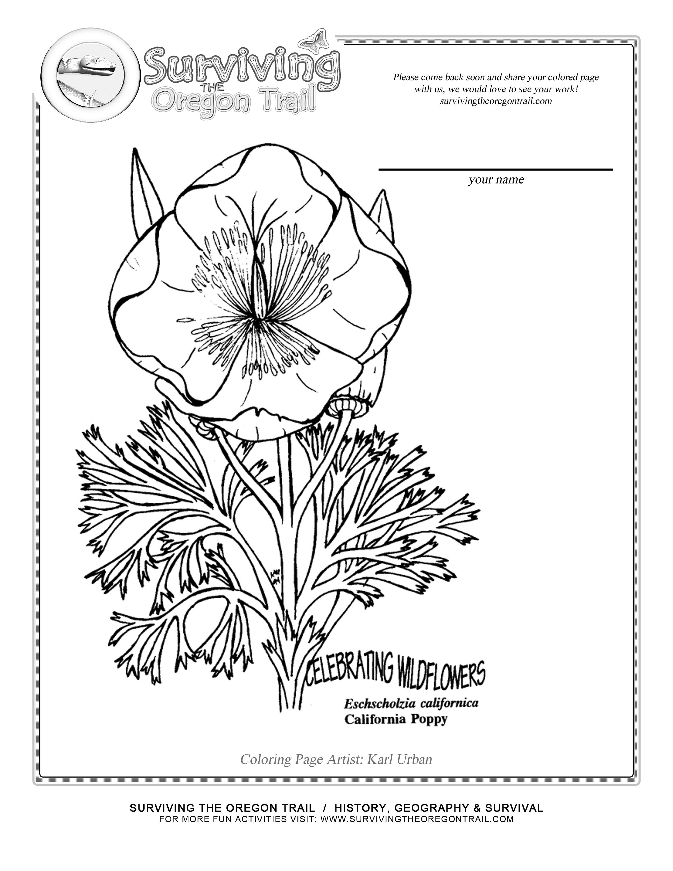 Dibujo para colorear: Amapola (Naturaleza y Estaciones) #162495 - Dibujos para Colorear e Imprimir Gratis