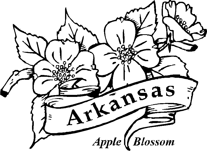 Dibujo para colorear: Amapola (Naturaleza y Estaciones) #162544 - Dibujos para Colorear e Imprimir Gratis
