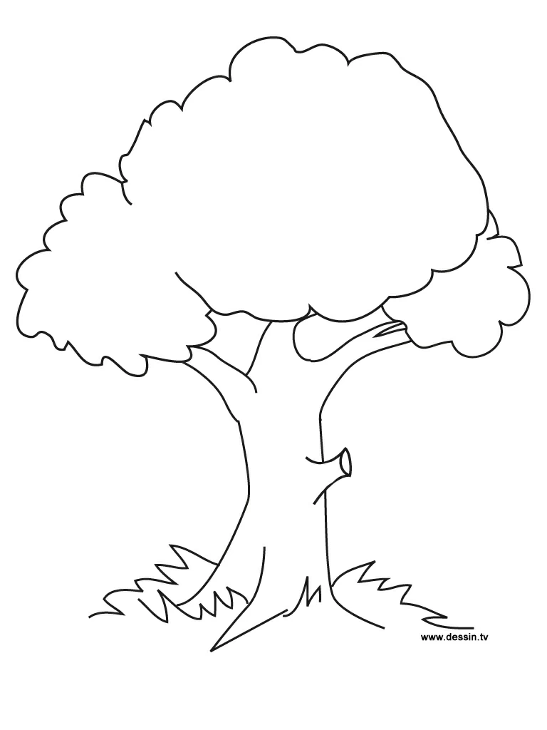 Dibujo gratuito Árbol #154667 de la coleccion Naturaleza y Estaciones para imprimir
