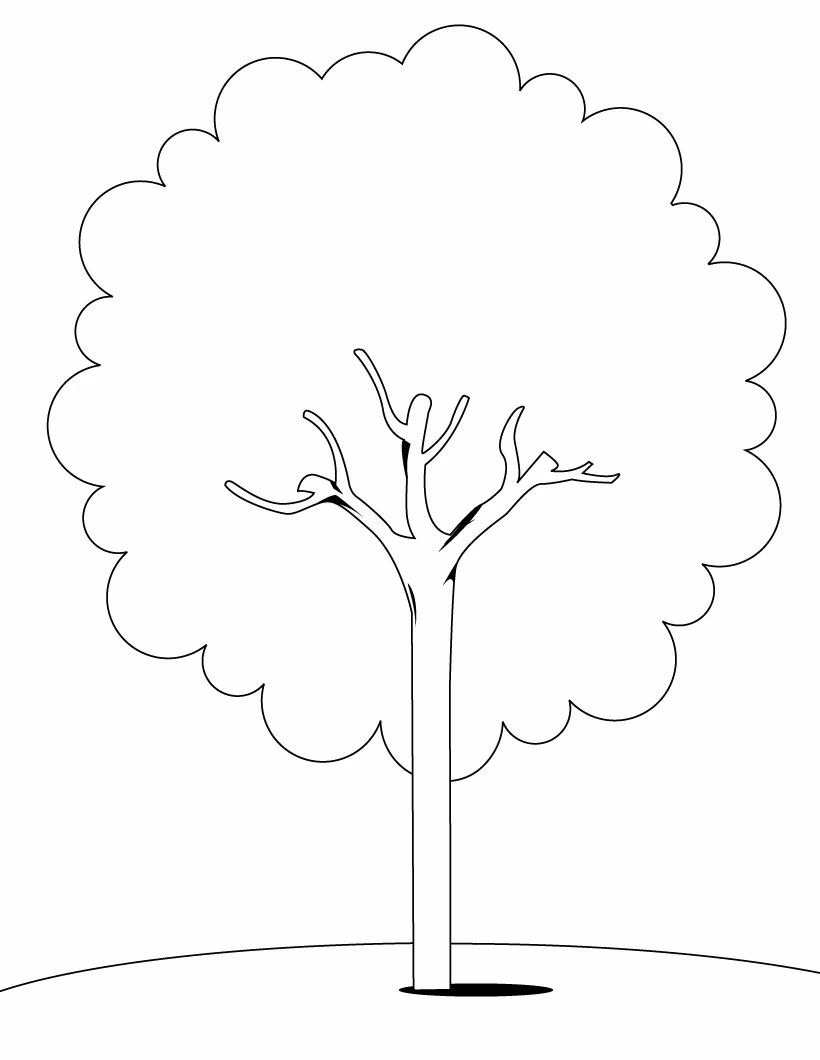 Dibujo para colorear: Árbol (Naturaleza y Estaciones) #154670 - Dibujos para Colorear e Imprimir Gratis