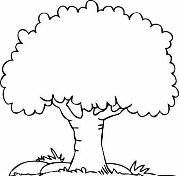 Dibujo gratuito Árbol #154682 de la coleccion Naturaleza y Estaciones para imprimir