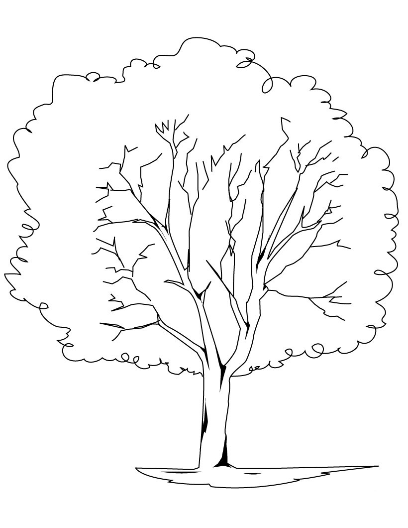 Dibujo gratuito Árbol #154693 de la coleccion Naturaleza y Estaciones para imprimir