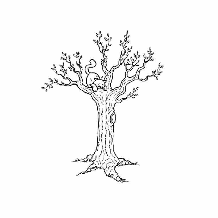 Dibujo para colorear: Árbol (Naturaleza y Estaciones) #154721 - Dibujos para Colorear e Imprimir Gratis