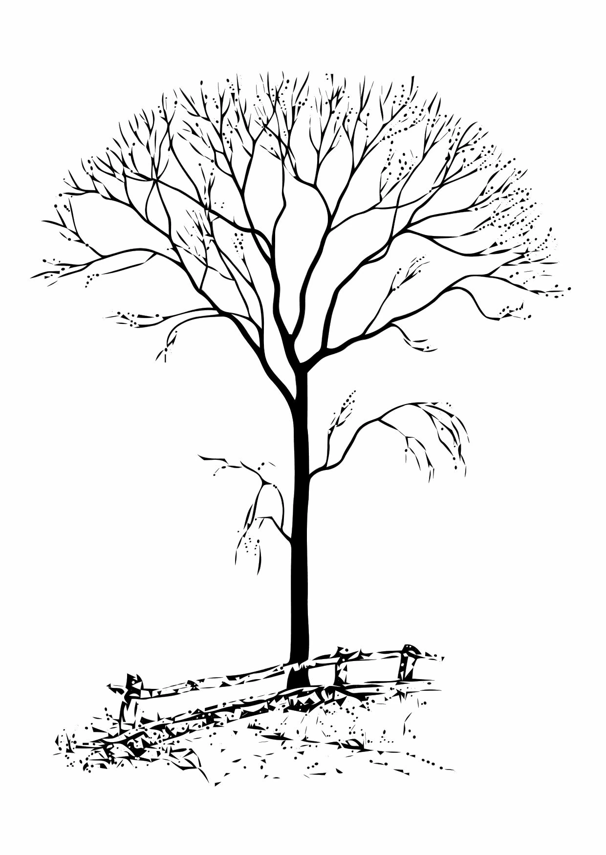 Dibujo gratuito Árbol #154769 de la coleccion Naturaleza y Estaciones para imprimir