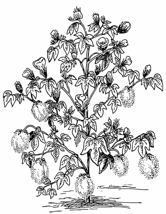 Dibujo gratuito Árbol #154789 de la coleccion Naturaleza y Estaciones para imprimir Dibujo gratuito Árbol #154789 de la coleccion Naturaleza y Estaciones para imprimir