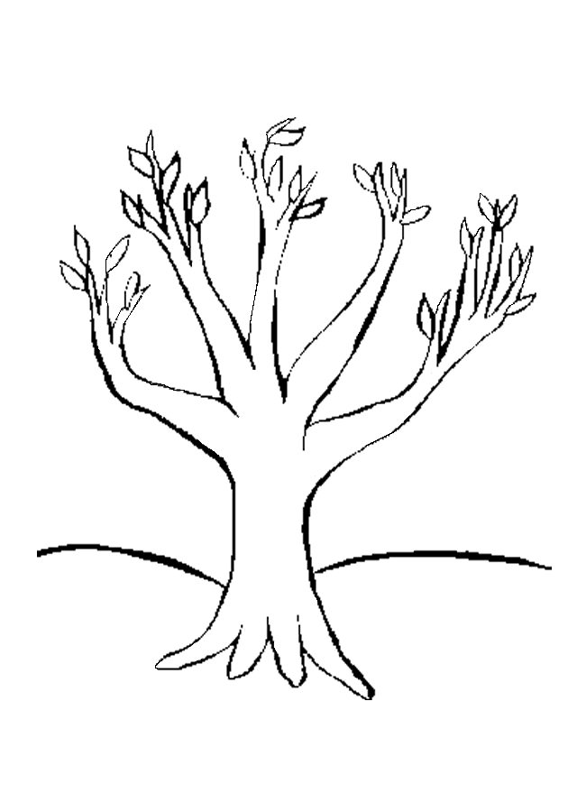Dibujo gratuito Árbol #154810 de la coleccion Naturaleza y Estaciones para imprimir