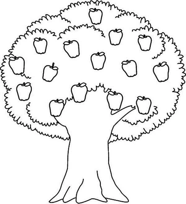 Dibujo gratuito Árbol #154851 de la coleccion Naturaleza y Estaciones para imprimir