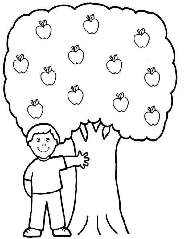 Dibujo gratuito Árbol #190452 de la coleccion Naturaleza y Estaciones para imprimir